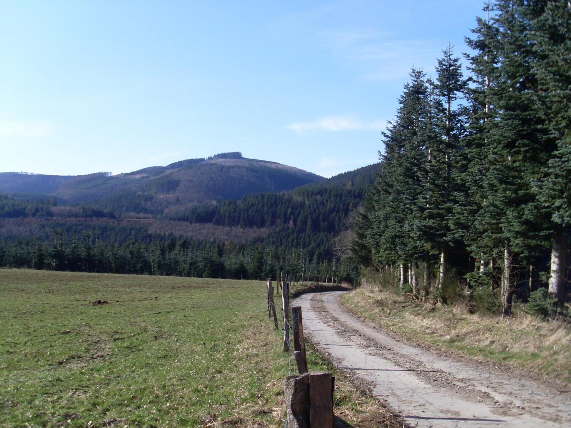 Am Waldrand Schmallenberg